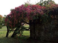 B-Herbststimmung 034.jpg